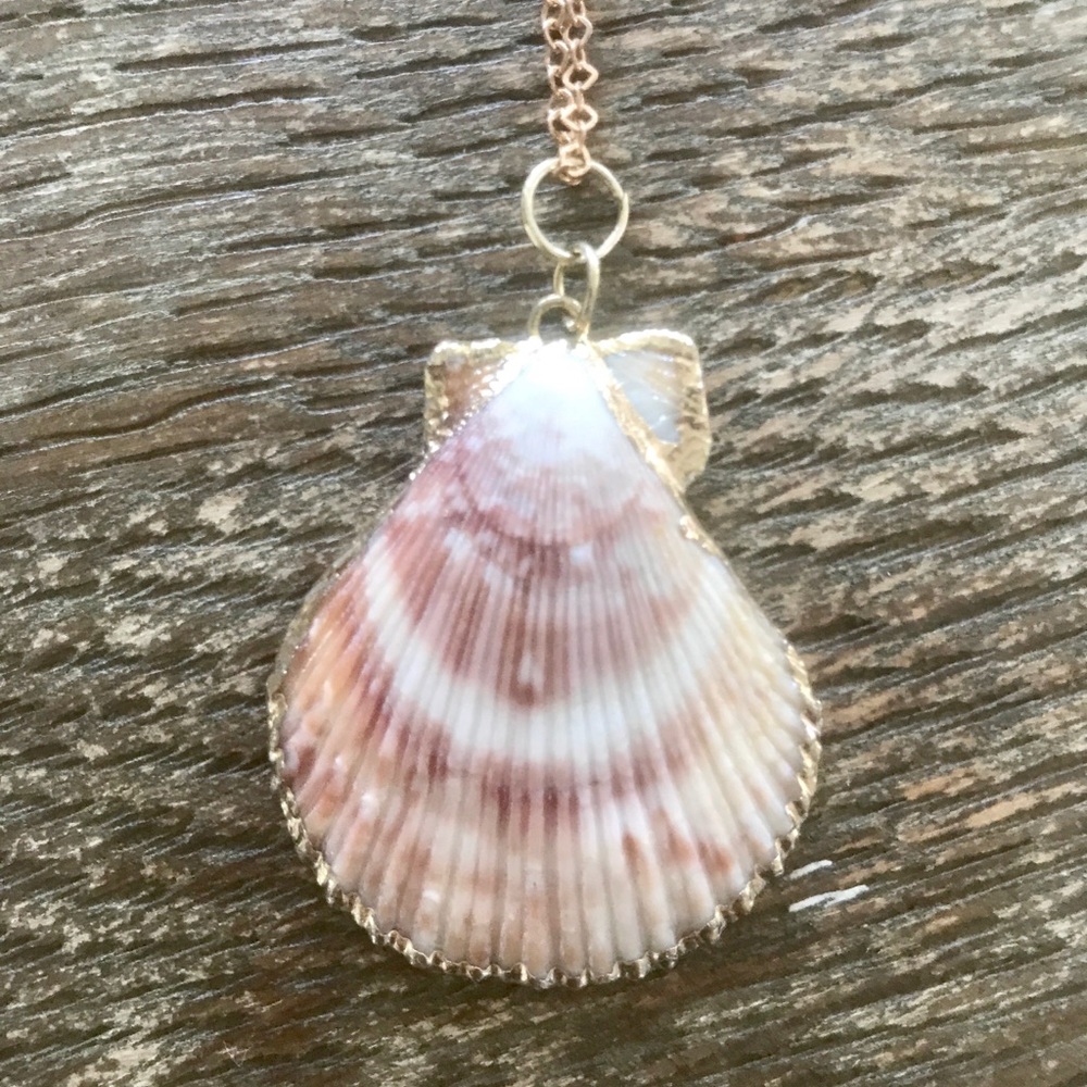 NWT Sea Shell Pendant